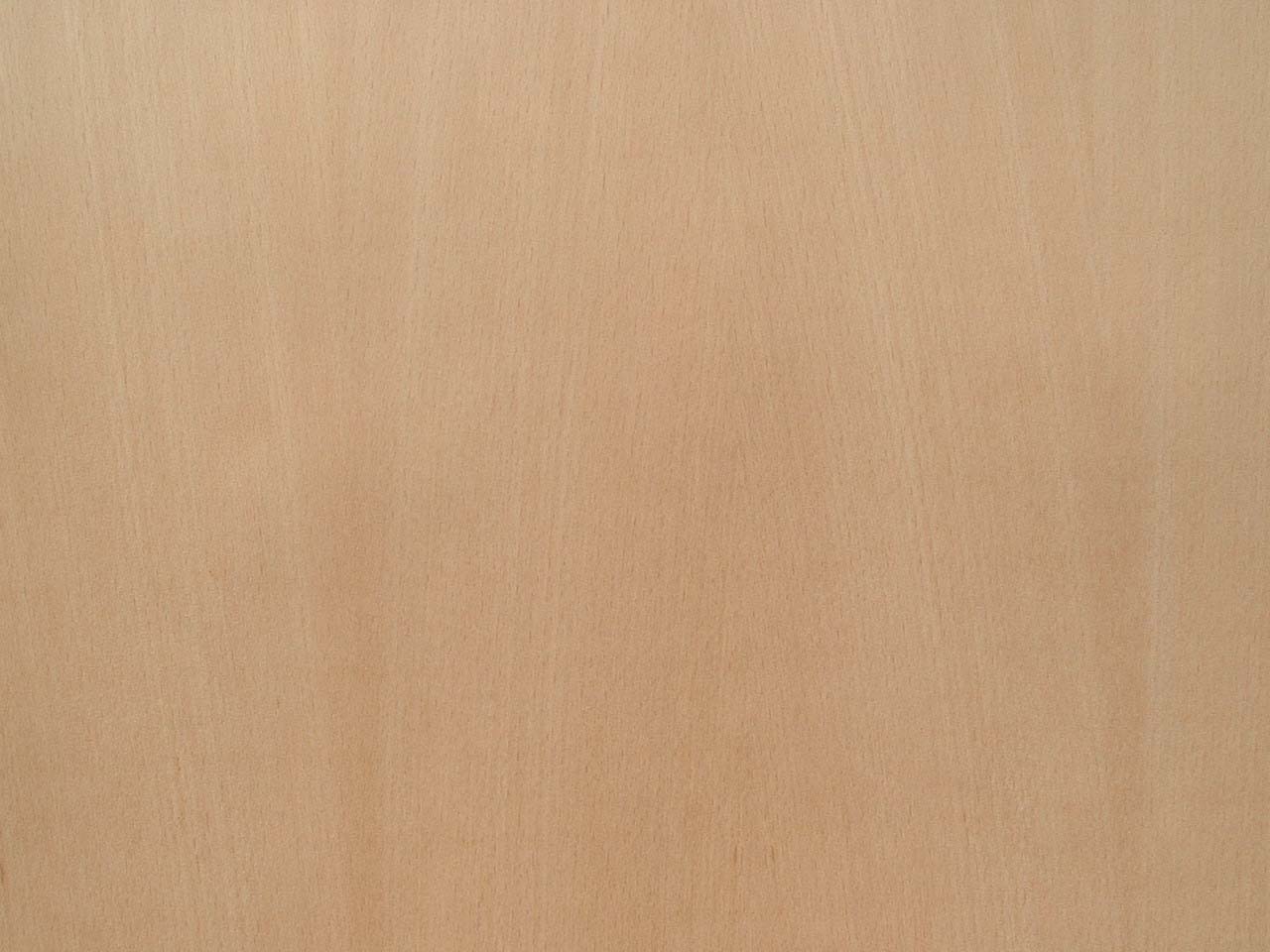 White Birch wood veneer 24" x 24" with paper backer 1/40" thickness A grade 